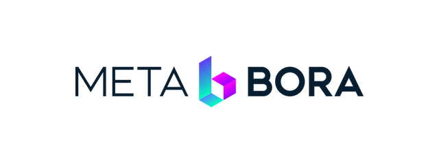 Meta Bora